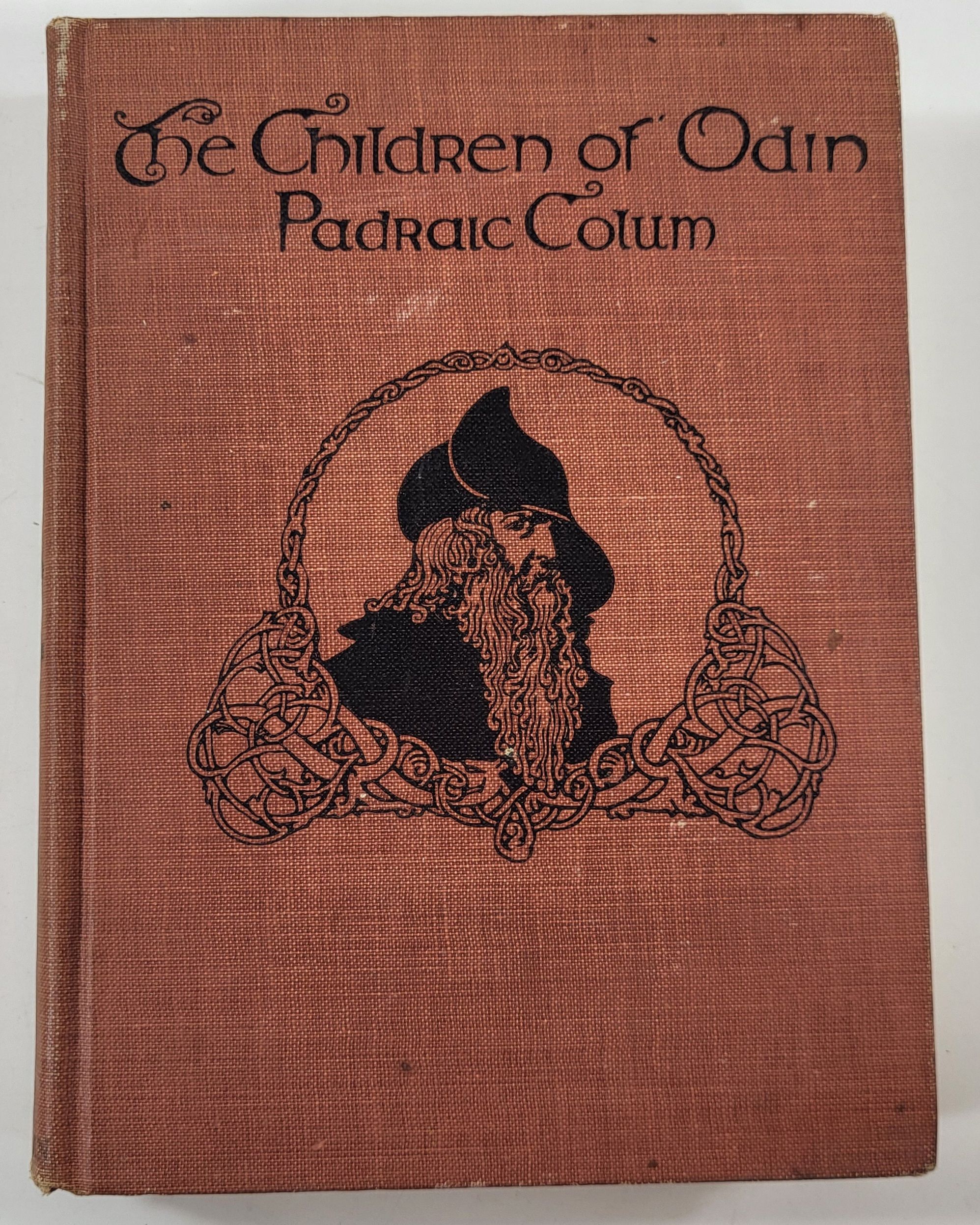 Image for The Children of Odin The Children of Odin