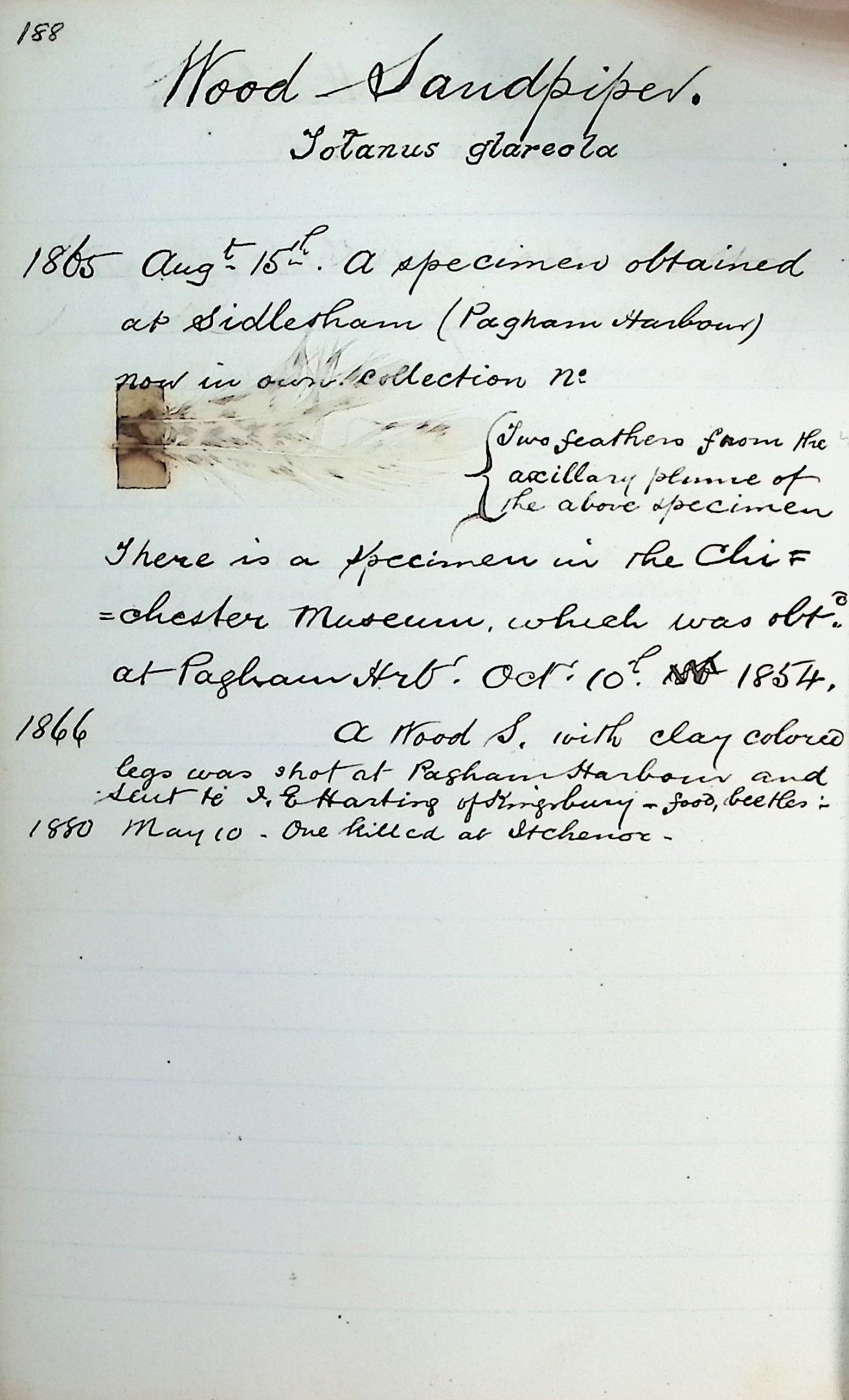 19th century English birding notebook from the collection of H. Bradley ...
