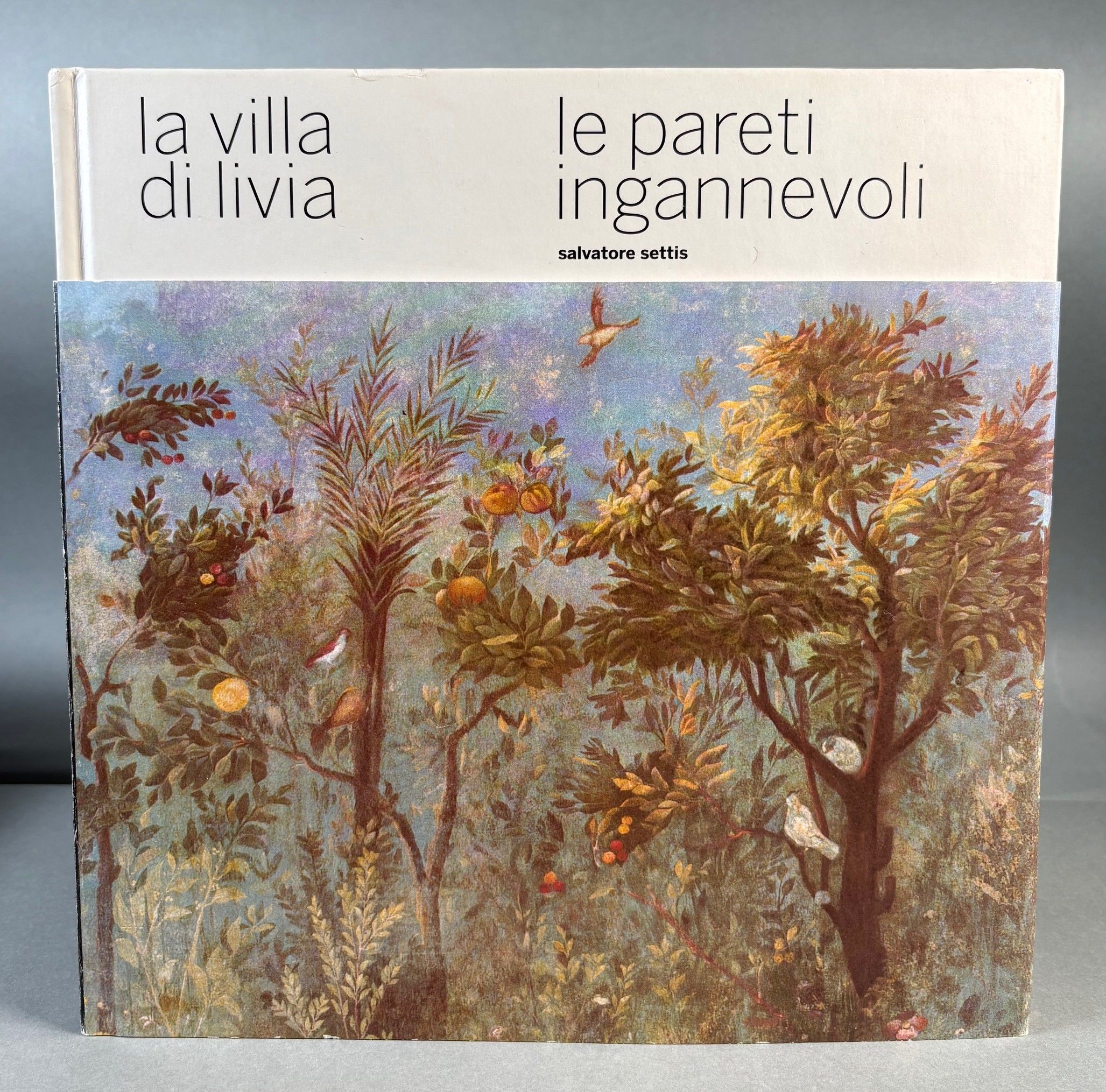 Image for La Villa di Livia; Le Pareti Ingannevoli La Villa di Livia; Le Pareti Ingannevoli