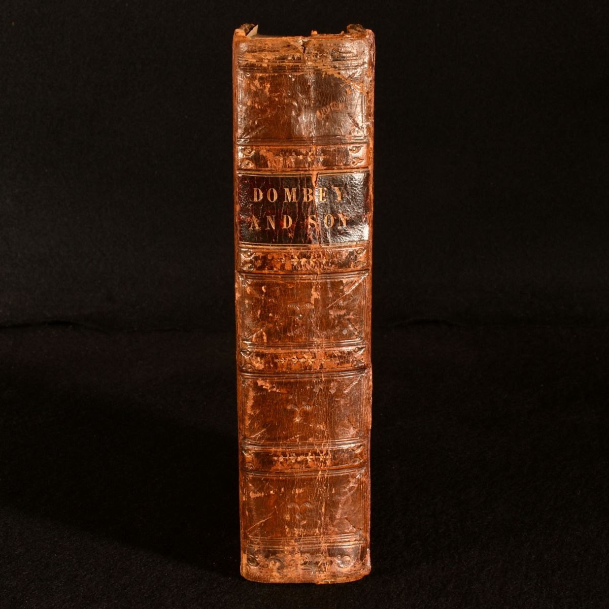Charles Dickens - Dombey and Son