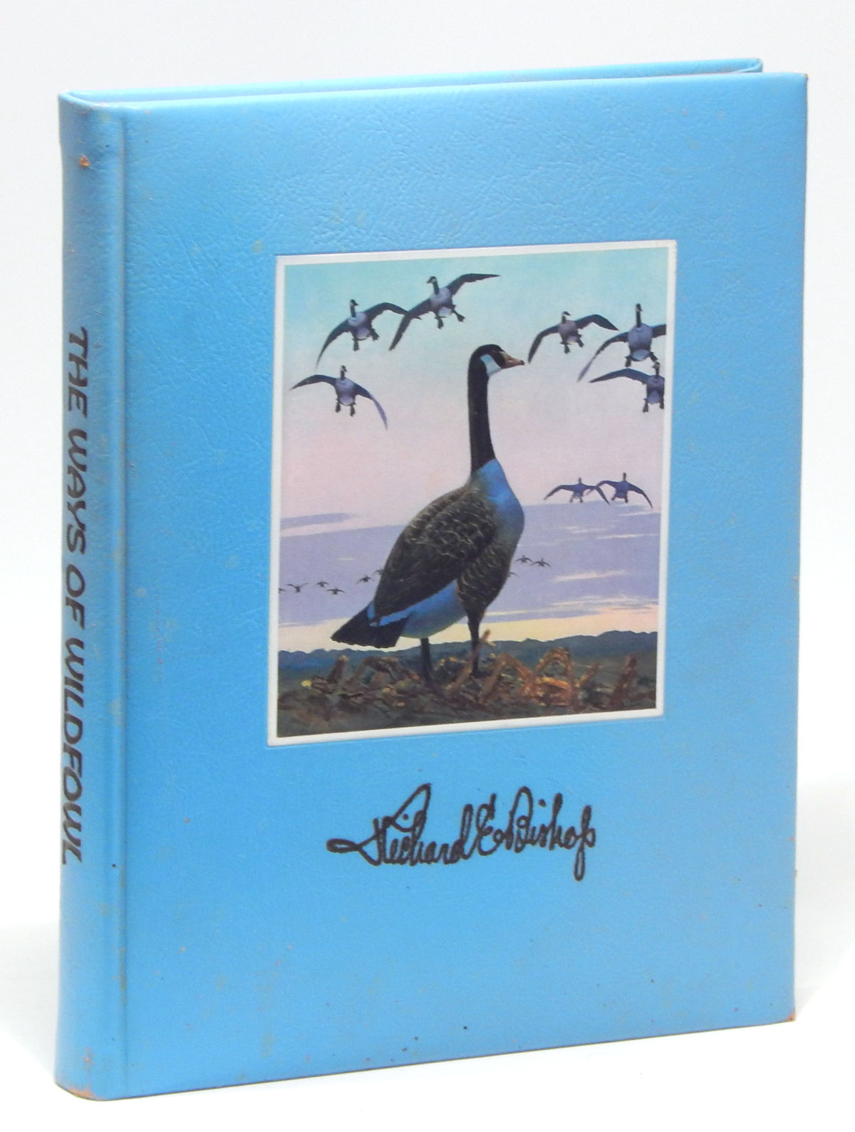 The Ways of Waterfowl: Featuring the Distinguished Paintings and Etchings of Richard E. Bishop