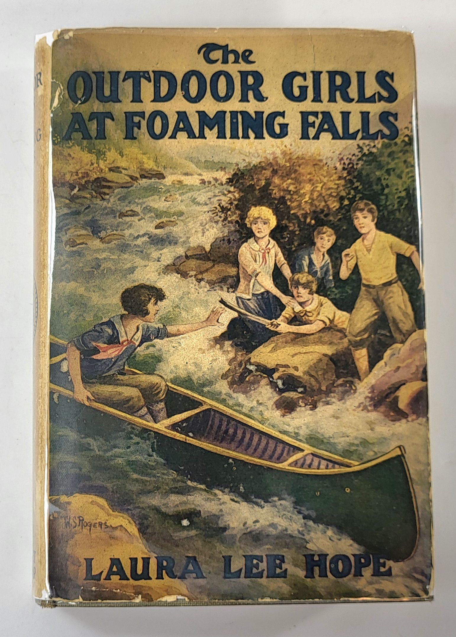 The Outdoor Girls at Foaming Falls; or, Robina of Red Kennels. Outdoor Girls Series