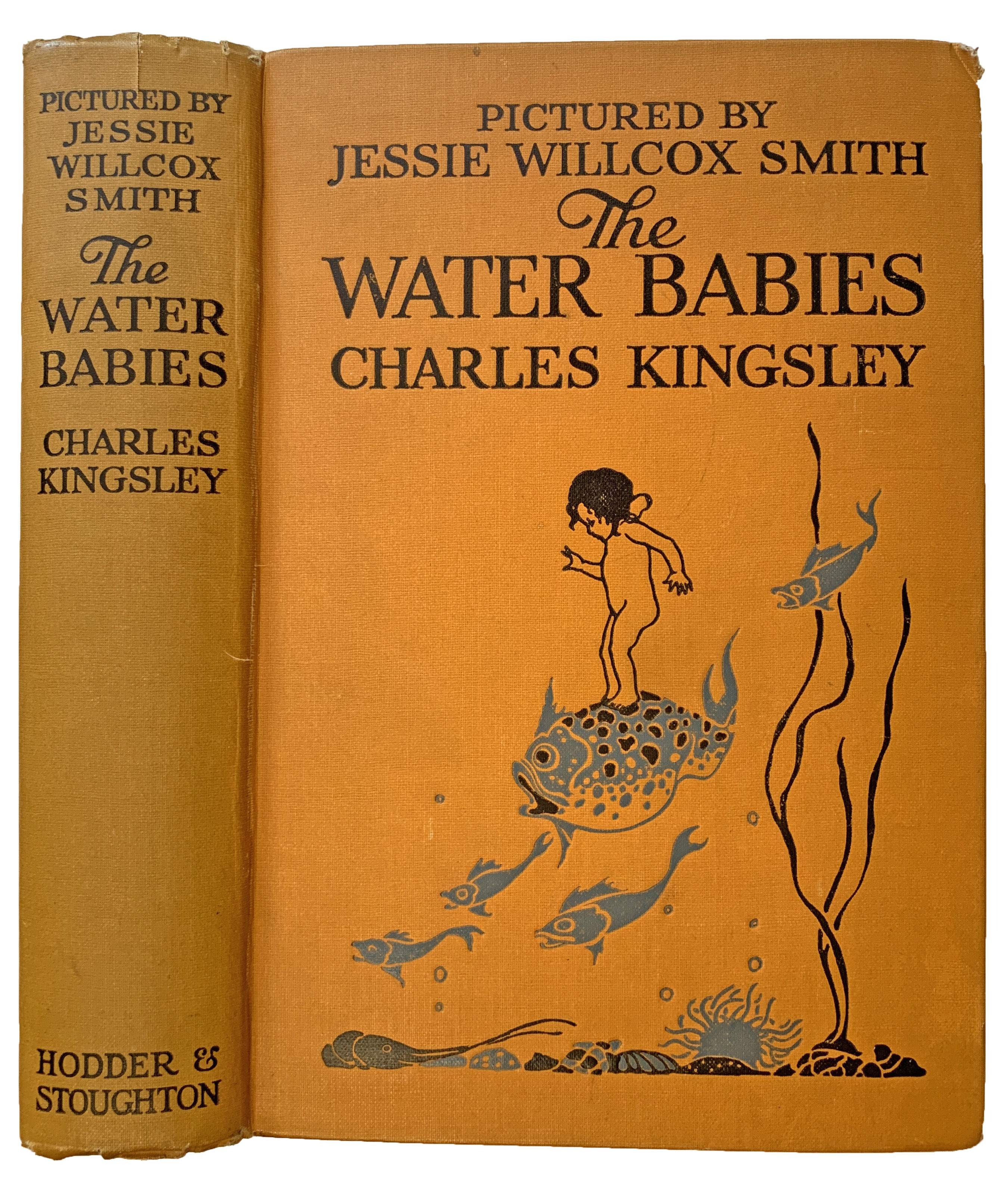 The Water Babies. Illustrated by Jessie Willcox Smith.