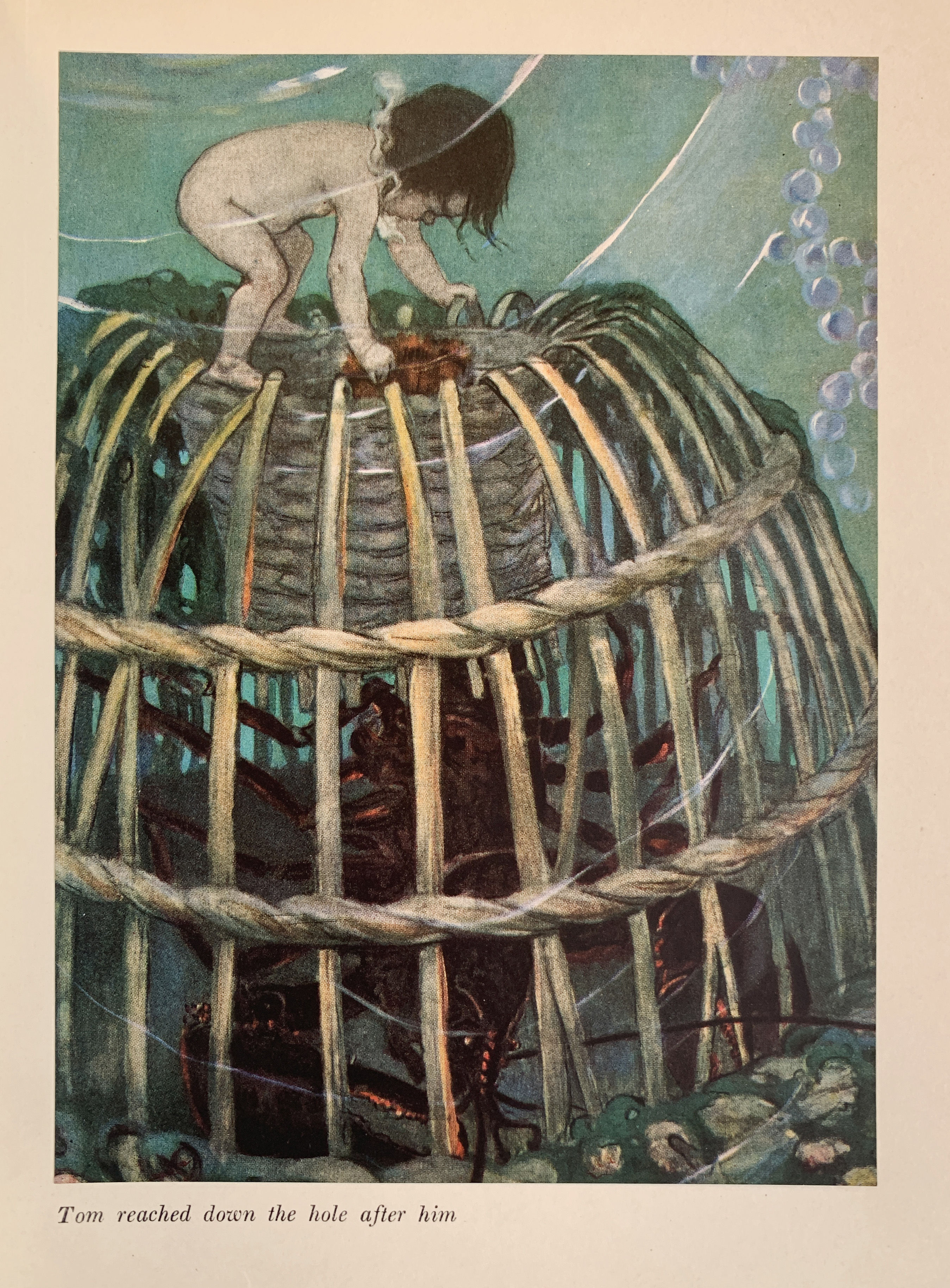 The Water Babies. Illustrated by Jessie Willcox Smith.