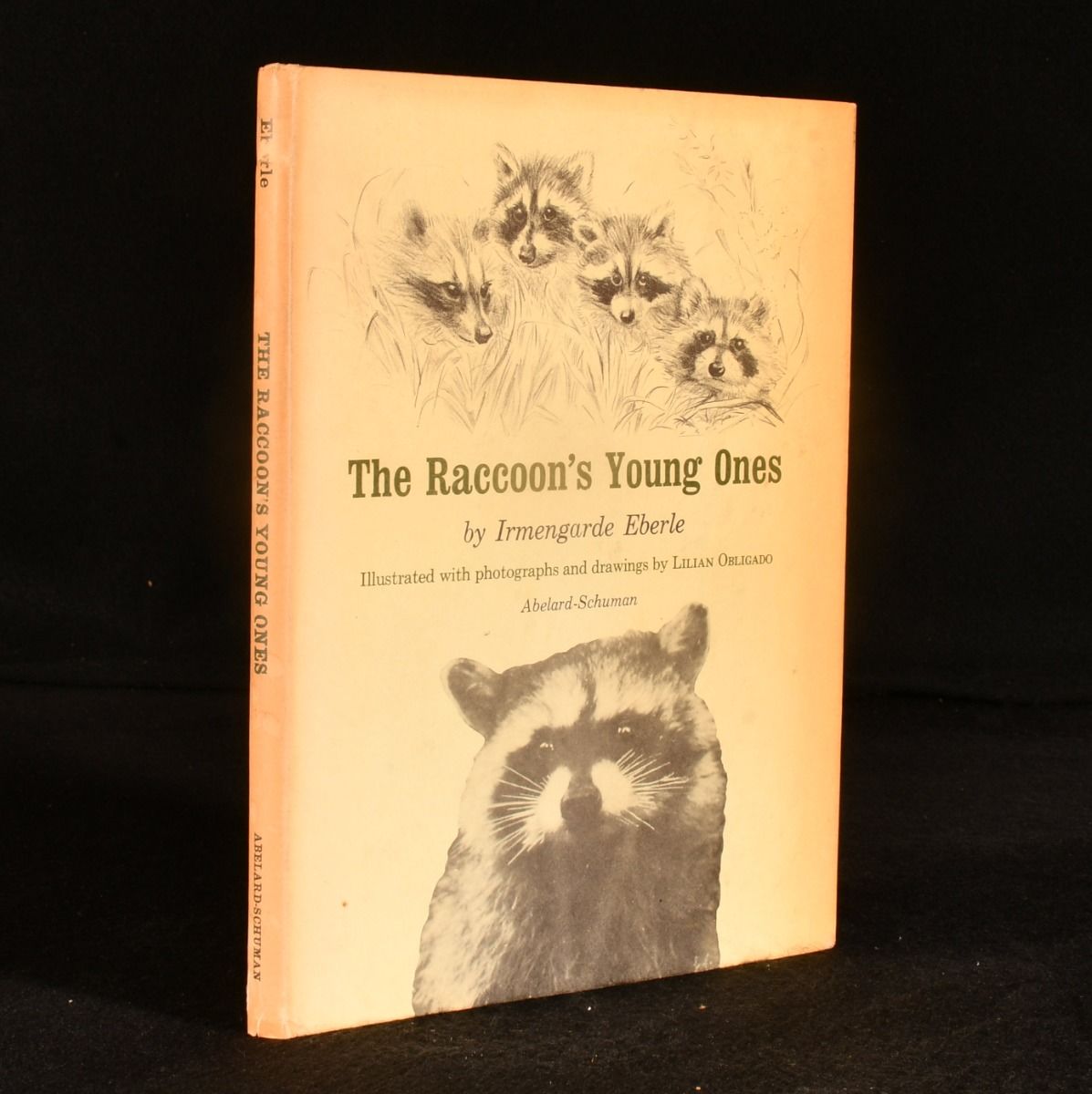 Irmengarde Eberle - The Raccoon&Apos;S Young Ones