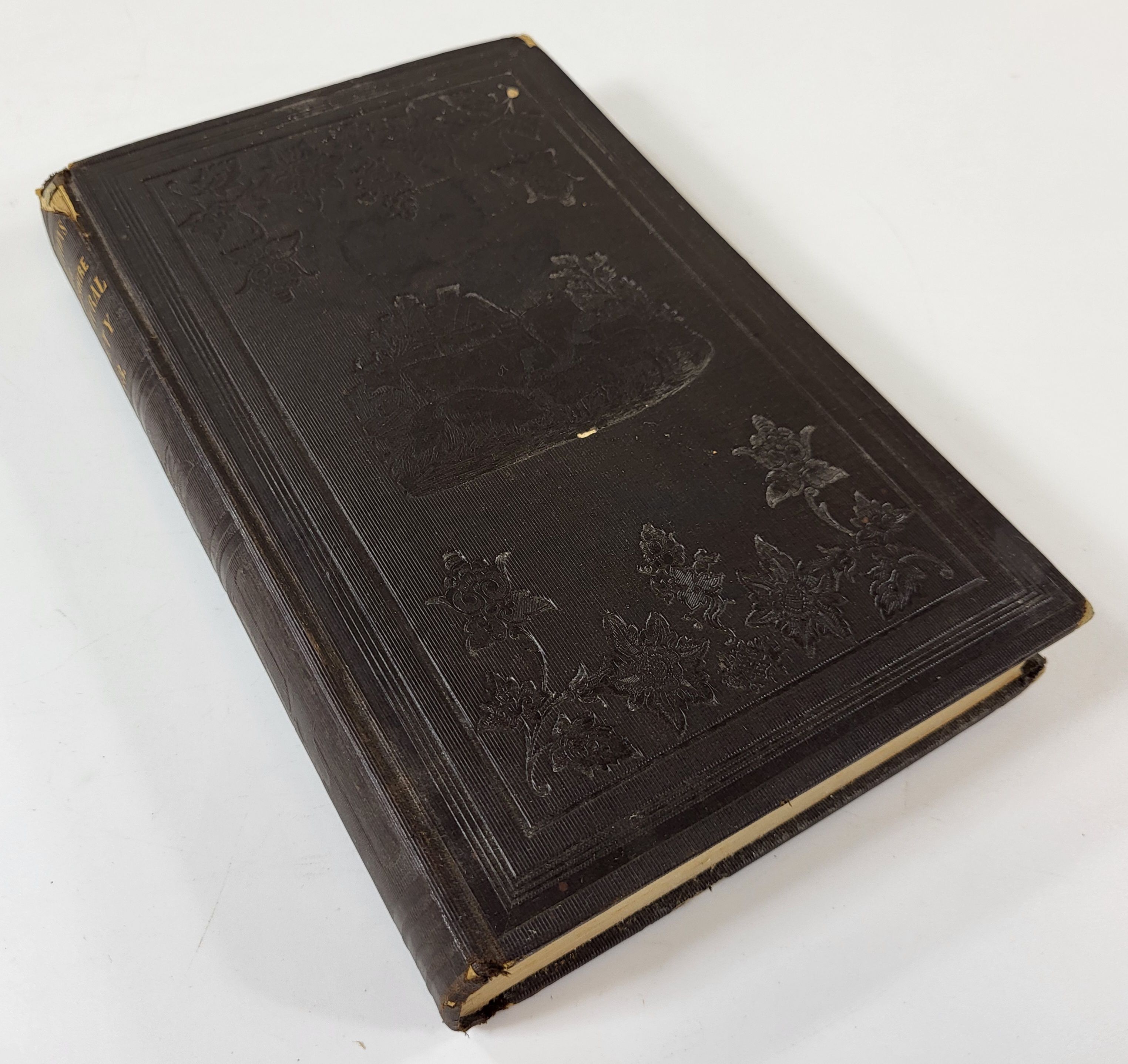 Image for Transactions of the New Hampshire State Agricultural Society, for the Year 1853 Transactions of the New Hampshire State Agricultural Society, for the Year 1853